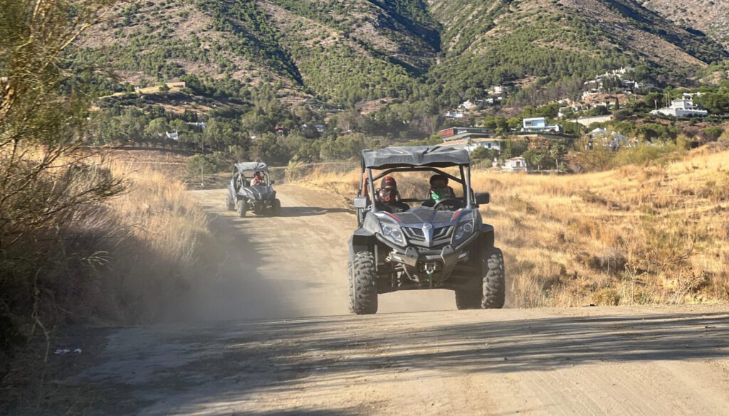 buggies driving