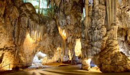 nerja caves tour
